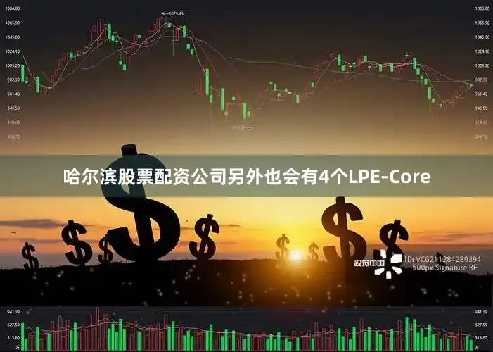 哈尔滨股票配资公司另外也会有4个LPE-Core
