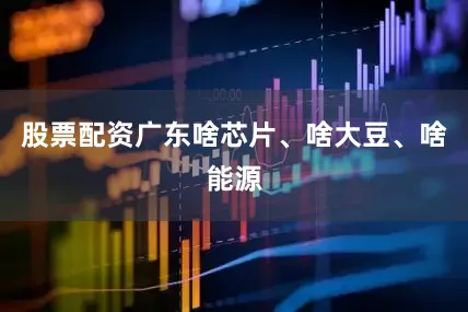 股票配资广东啥芯片、啥大豆、啥能源